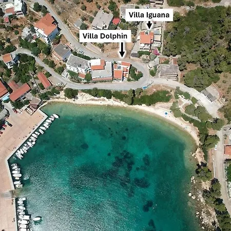 Iguana Votsi * Alónnisos