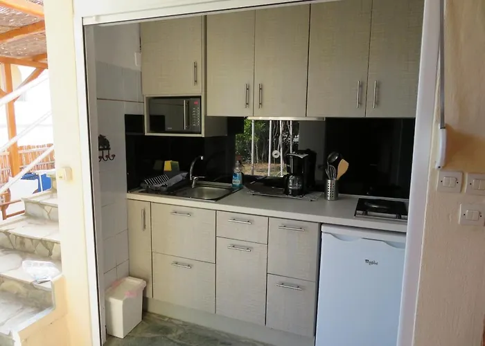 Iguana Votsi Villa Alónnisos